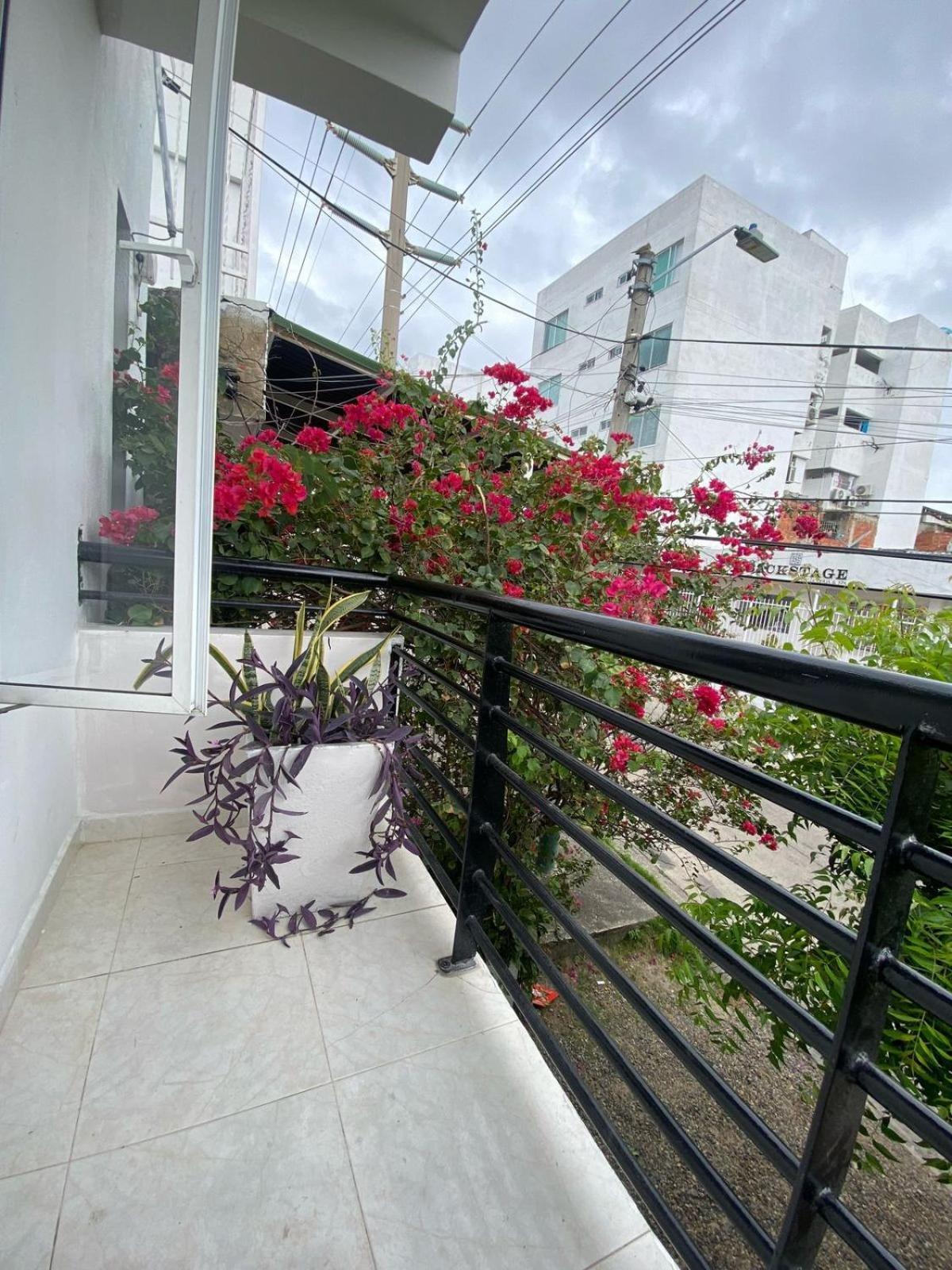 Northwest Hostings 4 Apartamento *